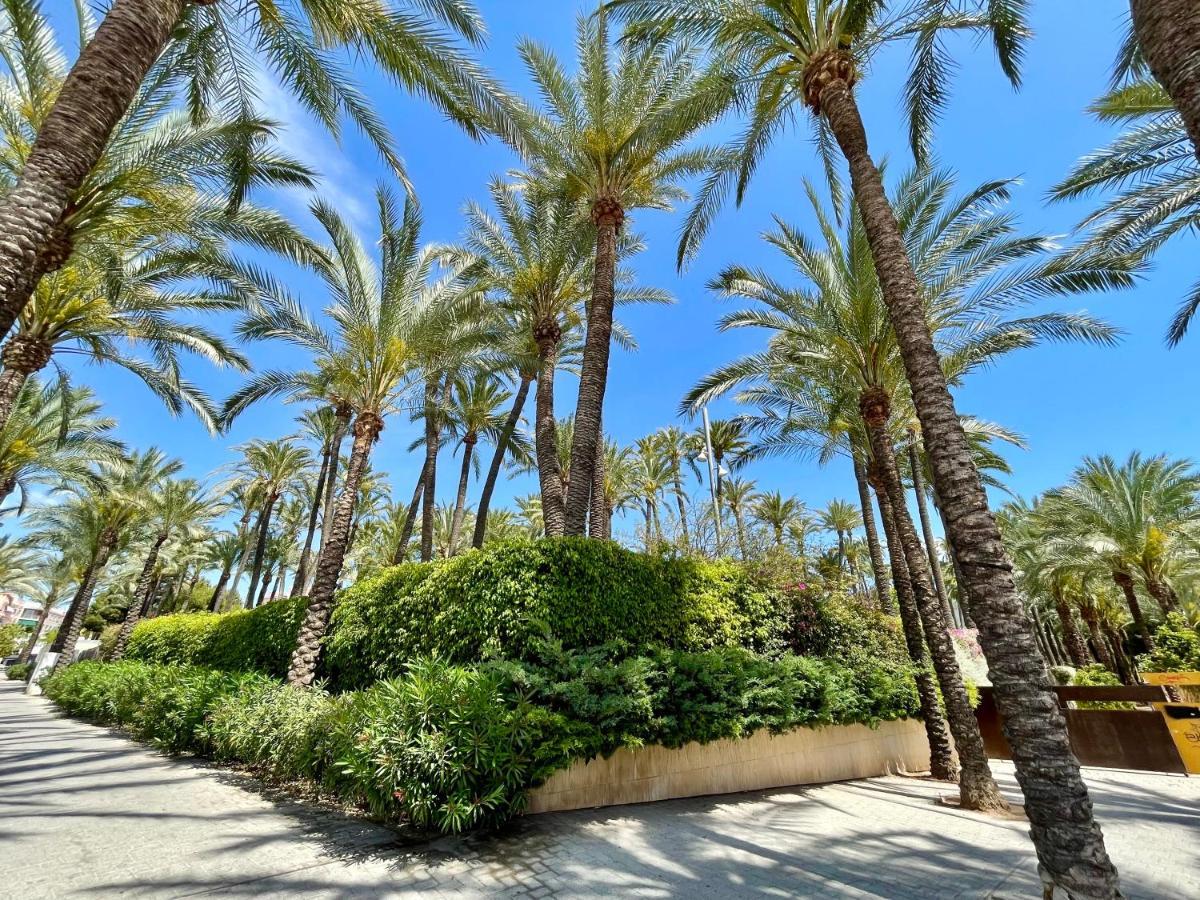 Casa Del Mar Apartment Santa Pola Bagian luar foto
